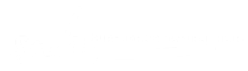SnHwigs Logo